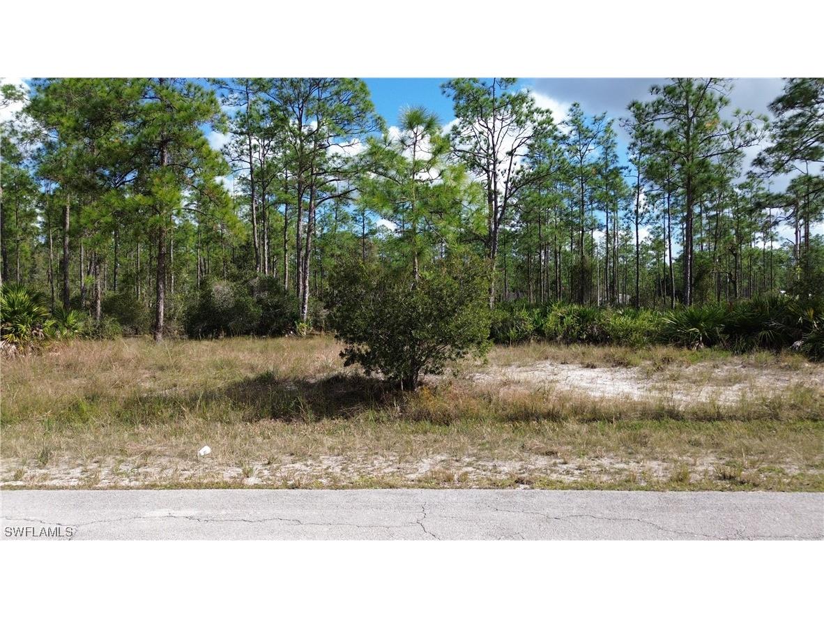 2216 Hamilton Avenue Alva FL 33920 223088712 image1