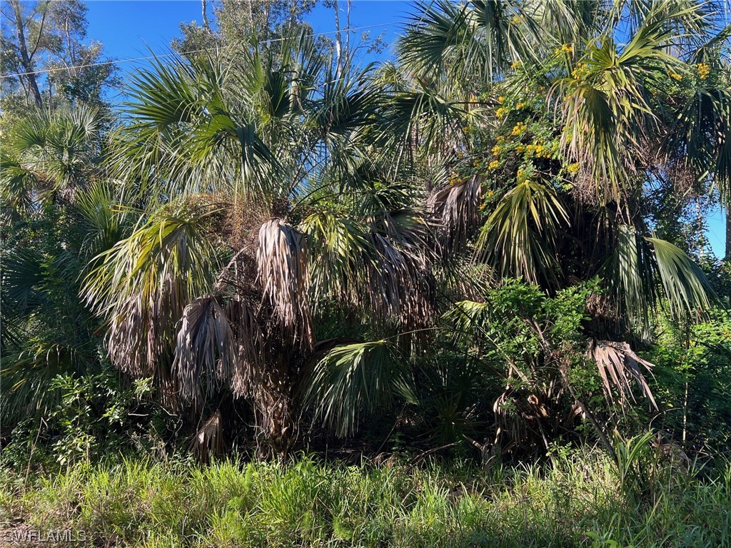 22160 Americana Avenue Estero FL 33928 223086298 image1