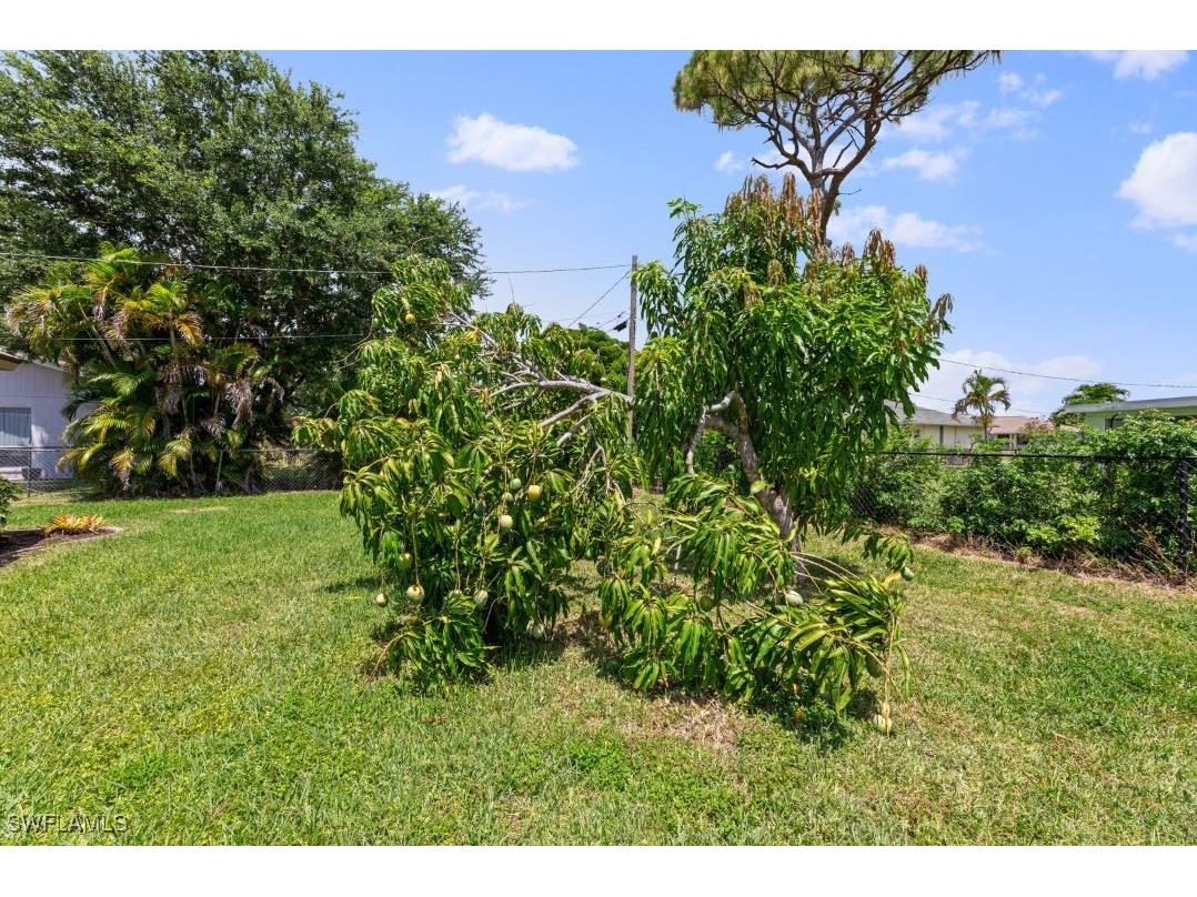 2219 SE 8th Street Cape Coral FL 33990 225076510 image36