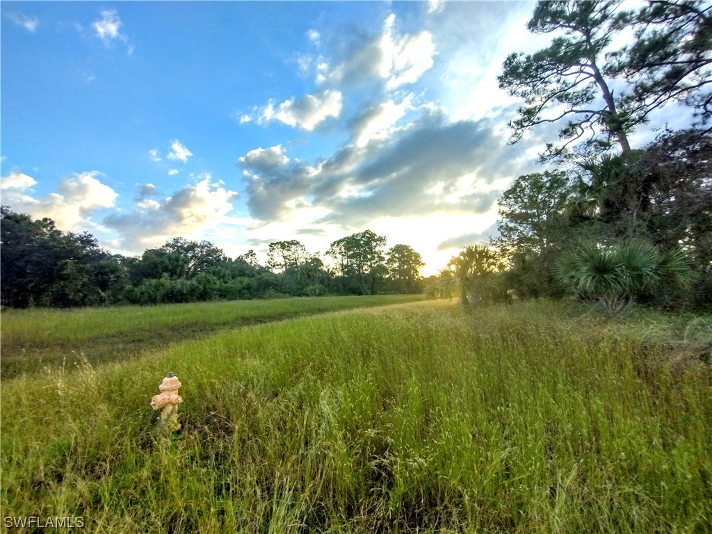 222 John Young Terrace Labelle FL 33935 223075405 image1