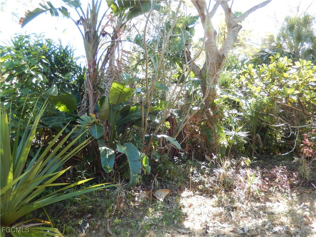 222 SE 46th Terrace Cape Coral FL 33904 2026005551 image12