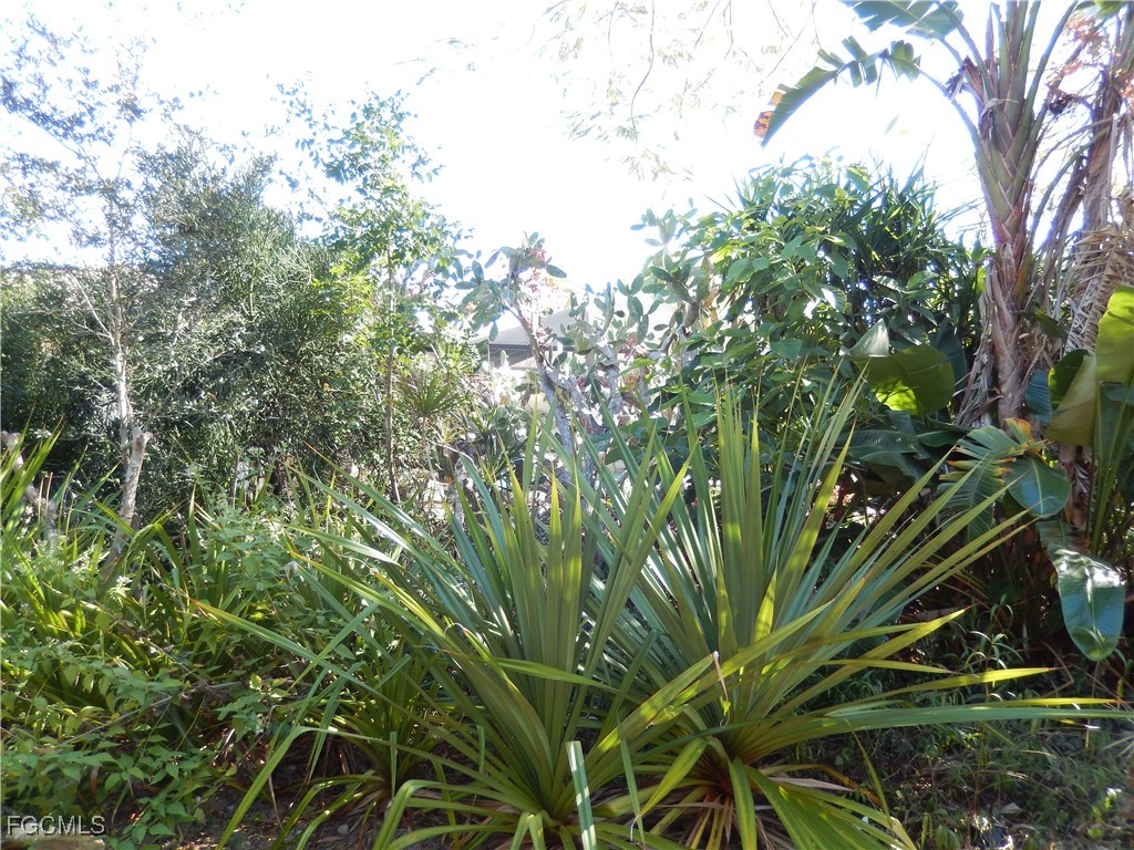222 SE 46th Terrace Cape Coral FL 33904 2026005551 image13