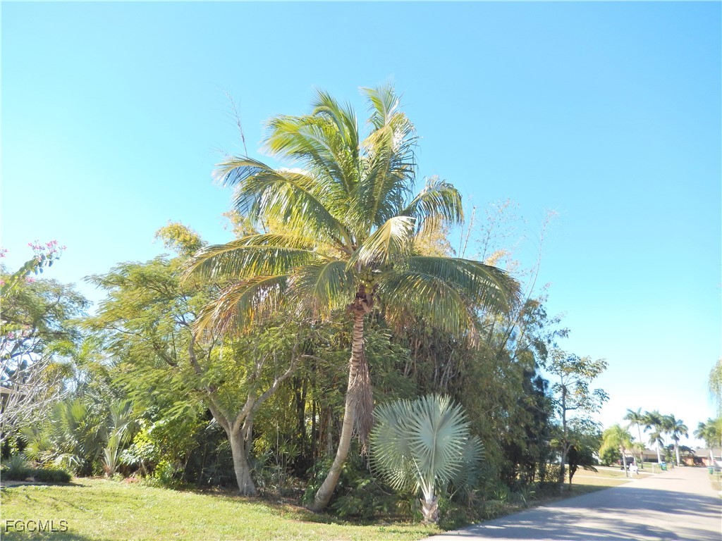 222 SE 46th Terrace Cape Coral FL 33904 2026005551 image2