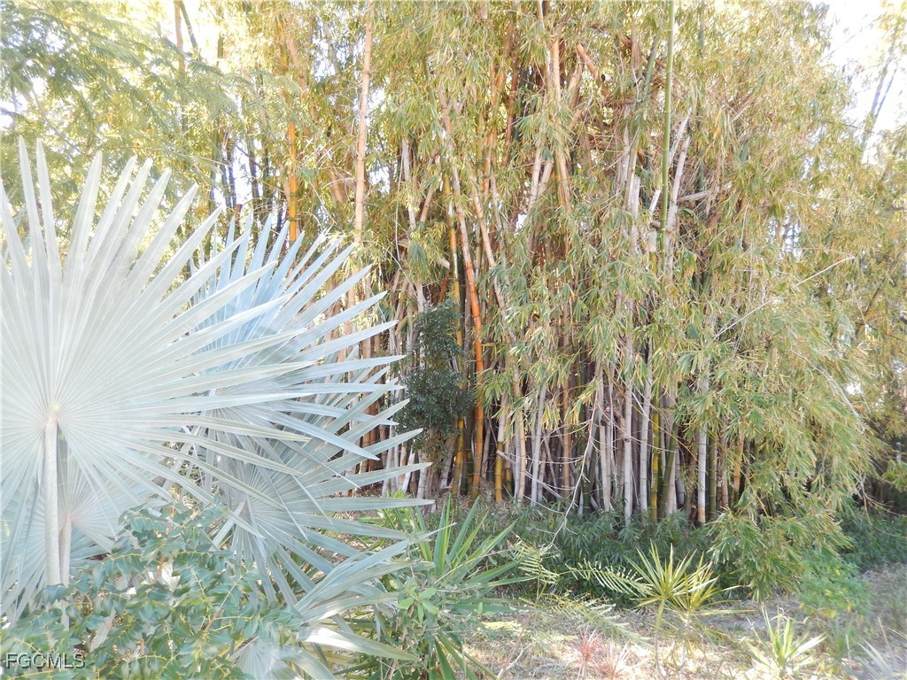 222 SE 46th Terrace Cape Coral FL 33904 2026005551 image5