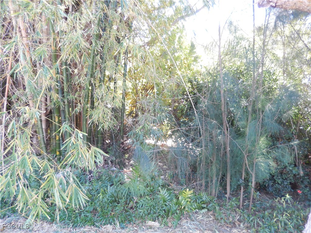 222 SE 46th Terrace Cape Coral FL 33904 2026005551 image6