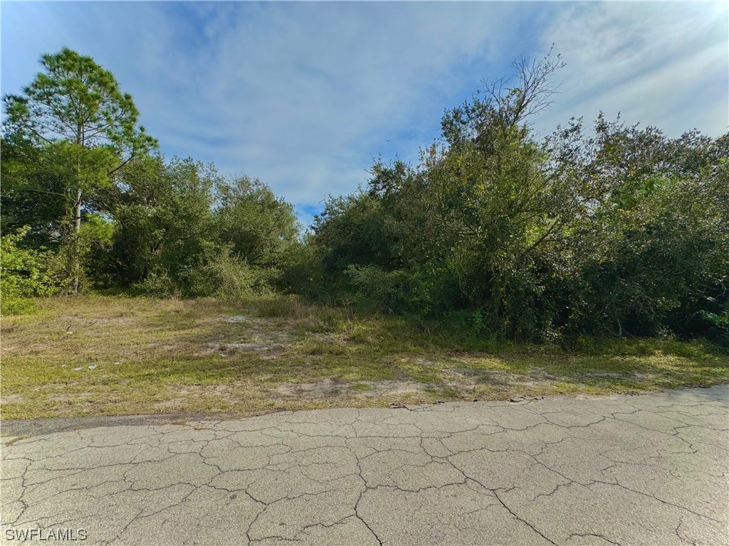 2220 Edward Avenue Alva FL 33920 223090838 image1