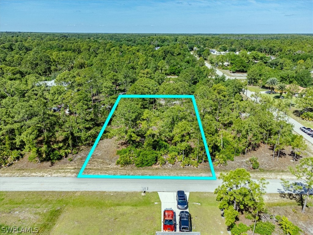 2221 Mcarthur Avenue Alva FL 33920 224033045 image1