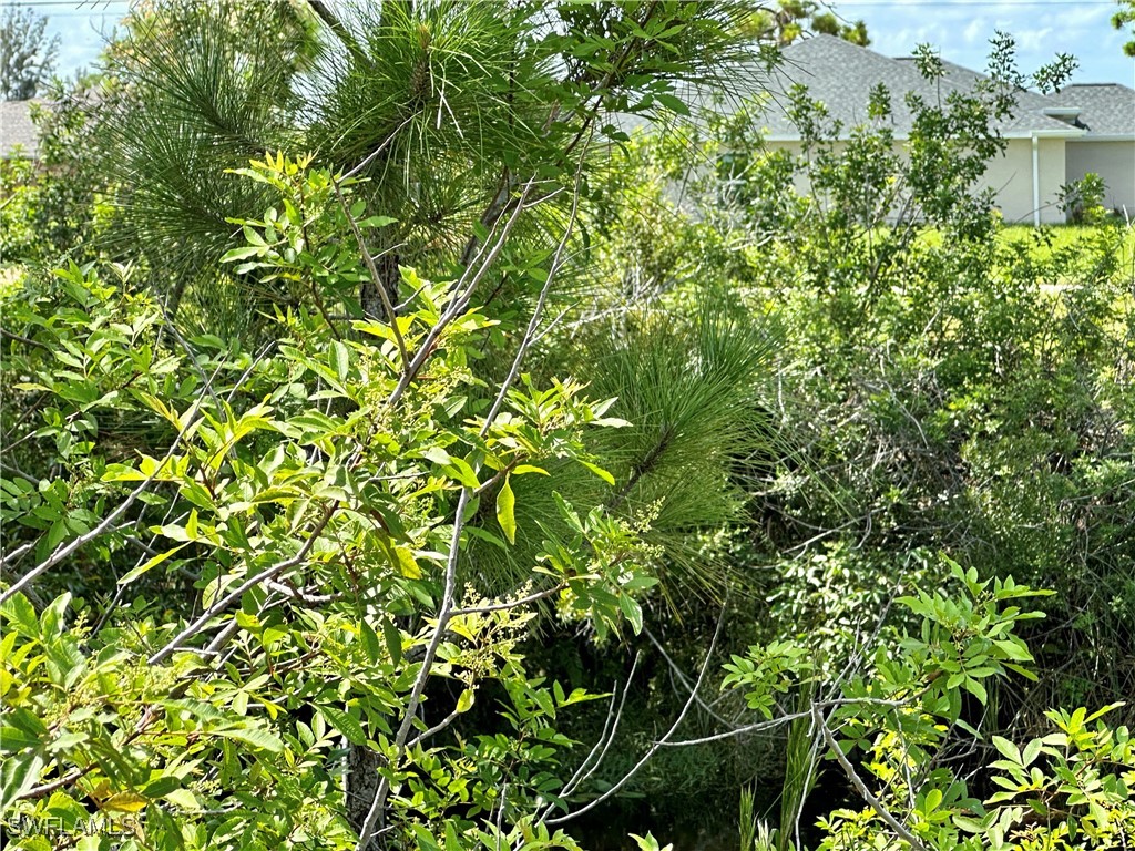 2228 NW 30th Terrace Cape Coral FL 33993 224070896 image7