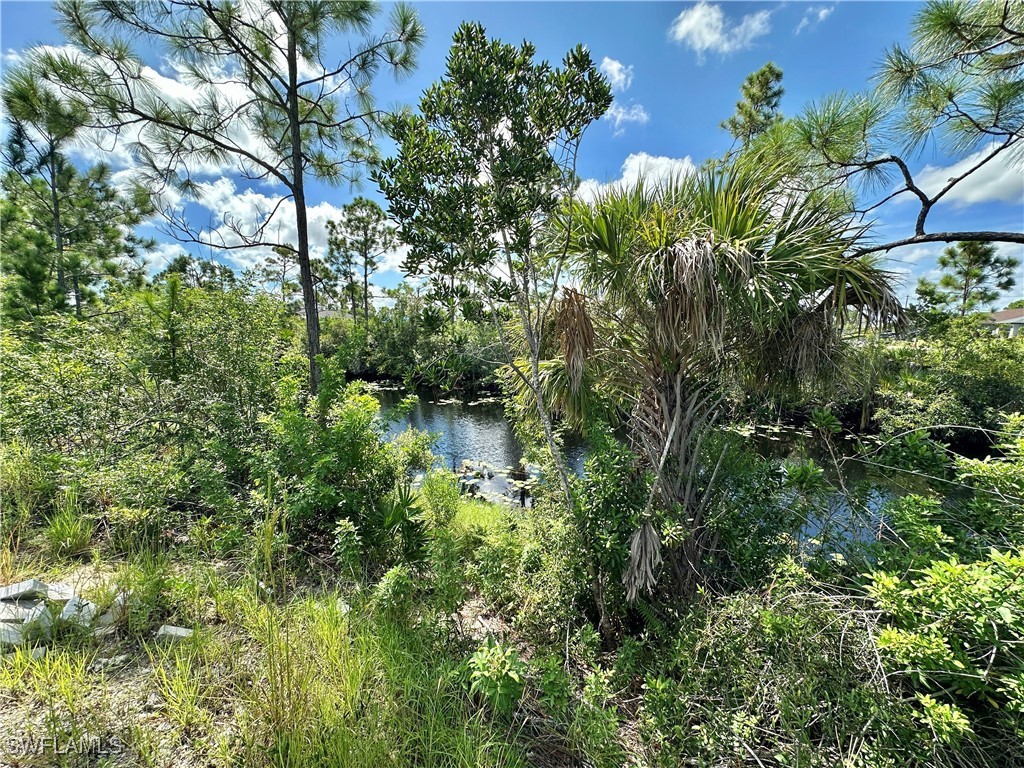 2228 NW 30th Terrace Cape Coral FL 33993 224070896 image8