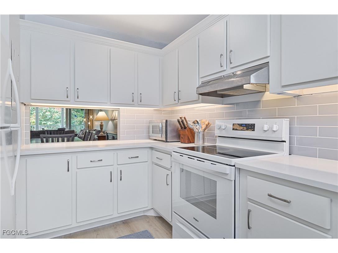 223 3rd Avenue S #223 Naples FL 34102 2025026271 image24