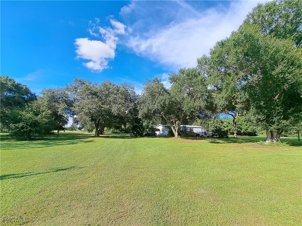 223 Pine Lane Clewiston FL 33440 2025012888 image9