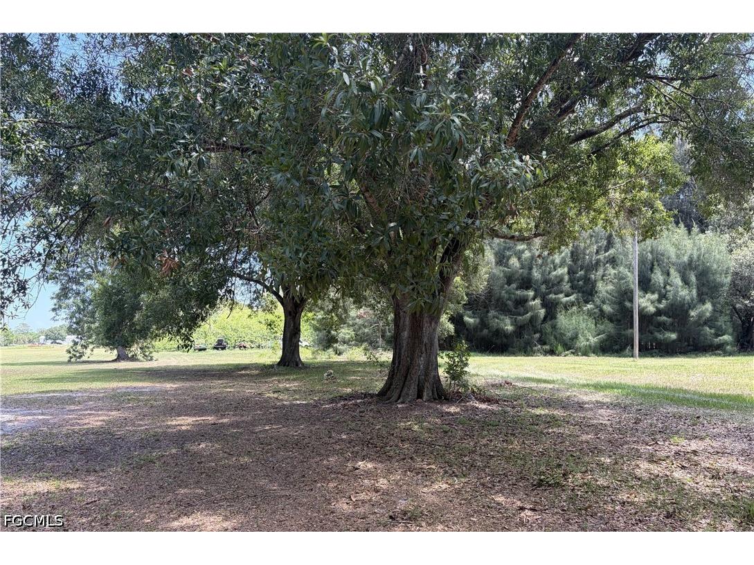 223 Pine Lane Clewiston FL 33440 2026026865 image18