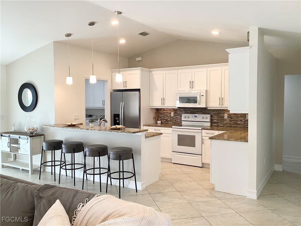 223 SW 31st Street Cape Coral FL 33914 2025018718 image11