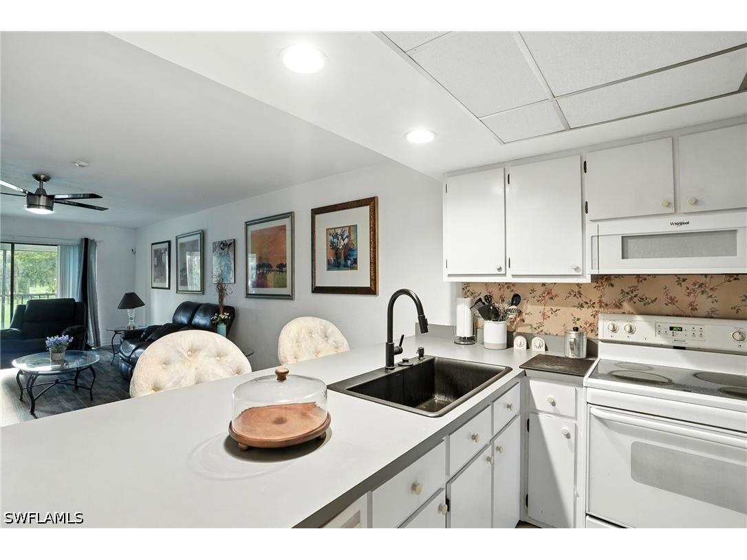 2231 E 5th Street #207 Lehigh Acres FL 33936 226021908 image13