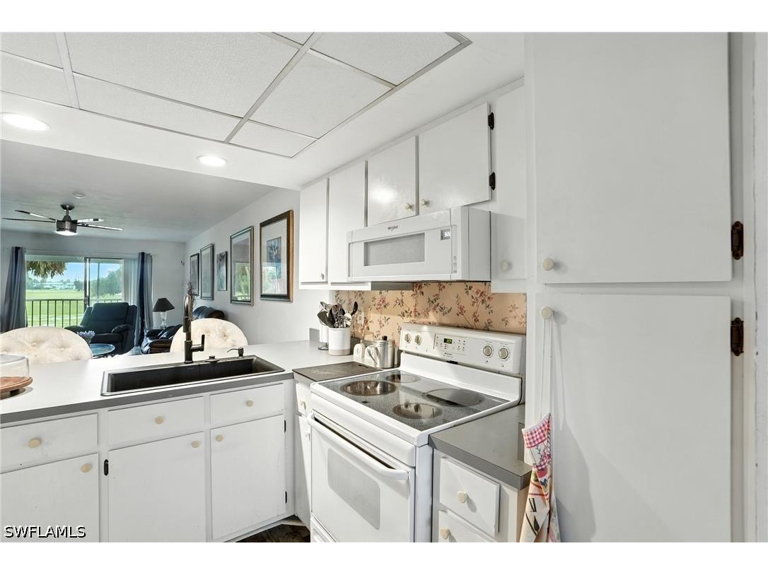 2231 E 5th Street #207 Lehigh Acres FL 33936 226021908 image17