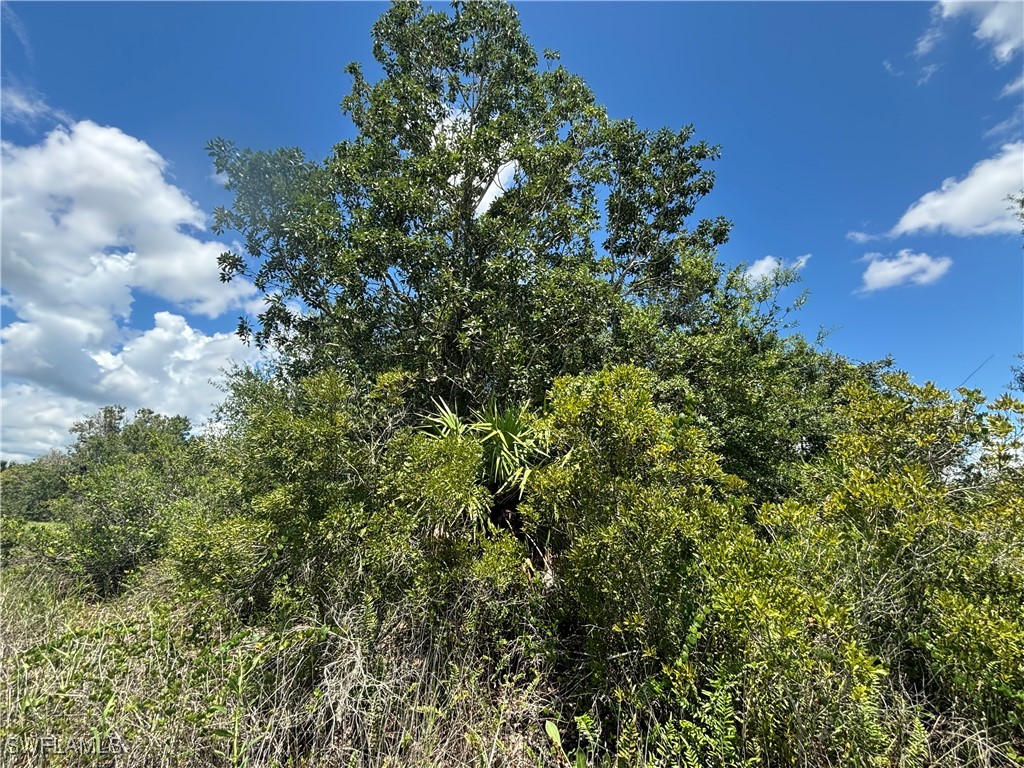 22398 NW 284th Street Okeechobee FL 34973 224050123 image1