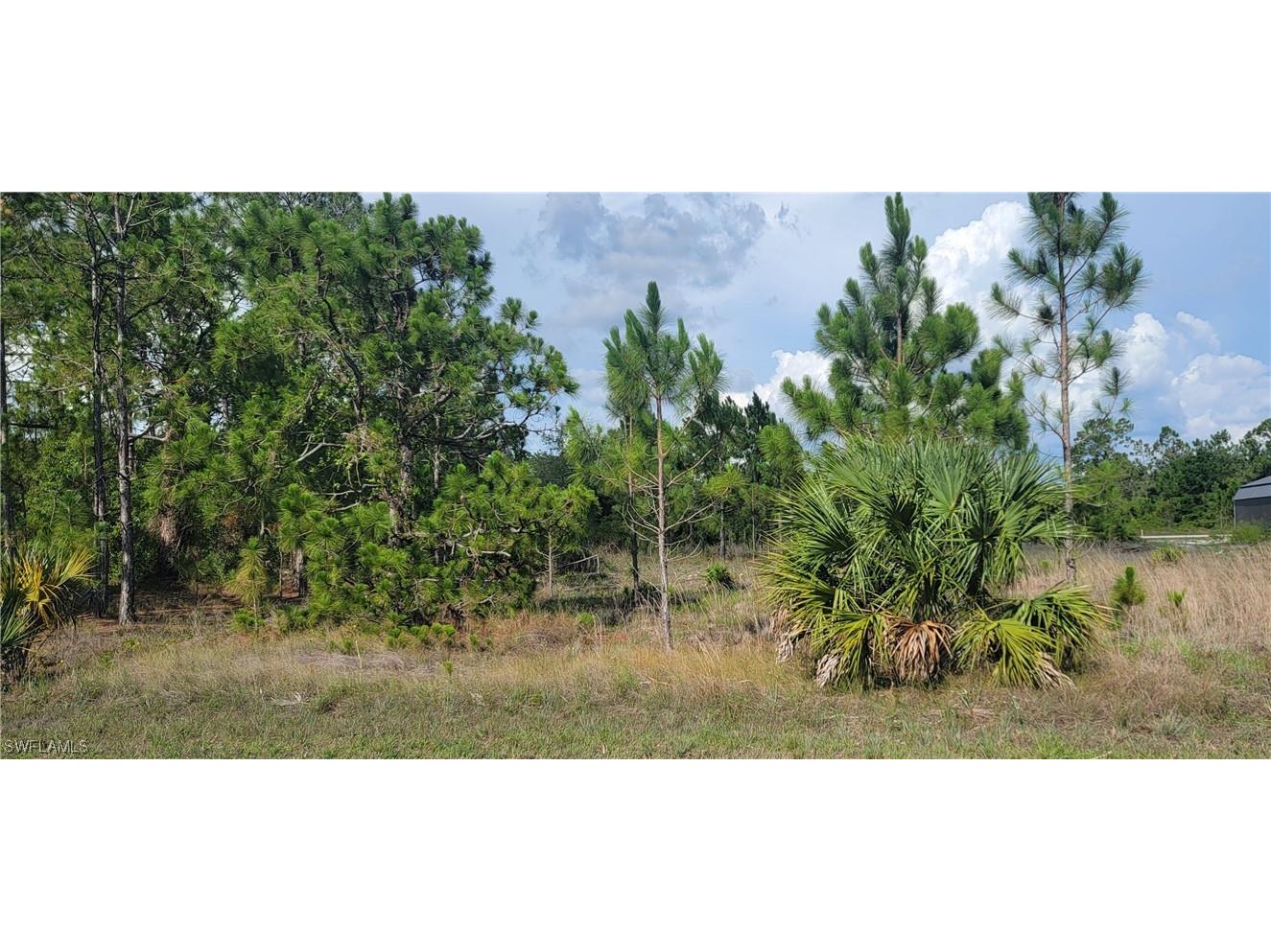 225 Euphrates Avenue S Lehigh Acres FL 33974 223035493 image1