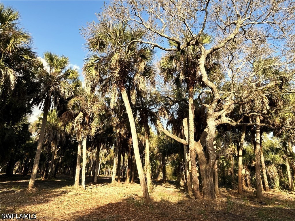 2250 North Road Naples FL 34104 226014241 image11