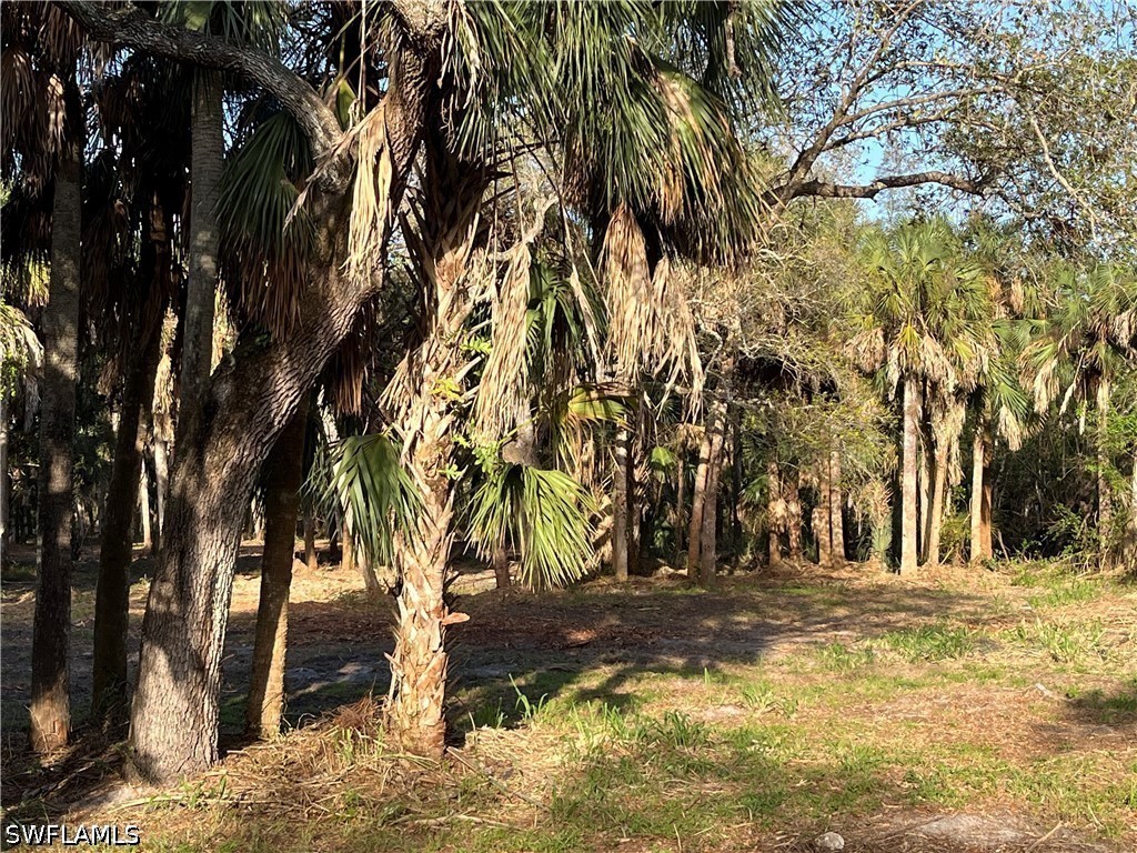 2250 North Road Naples FL 34104 226014241 image12