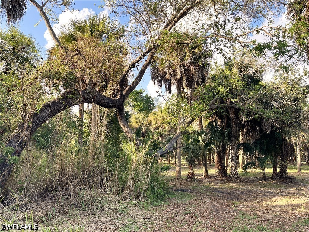 2250 North Road Naples FL 34104 226014241 image13