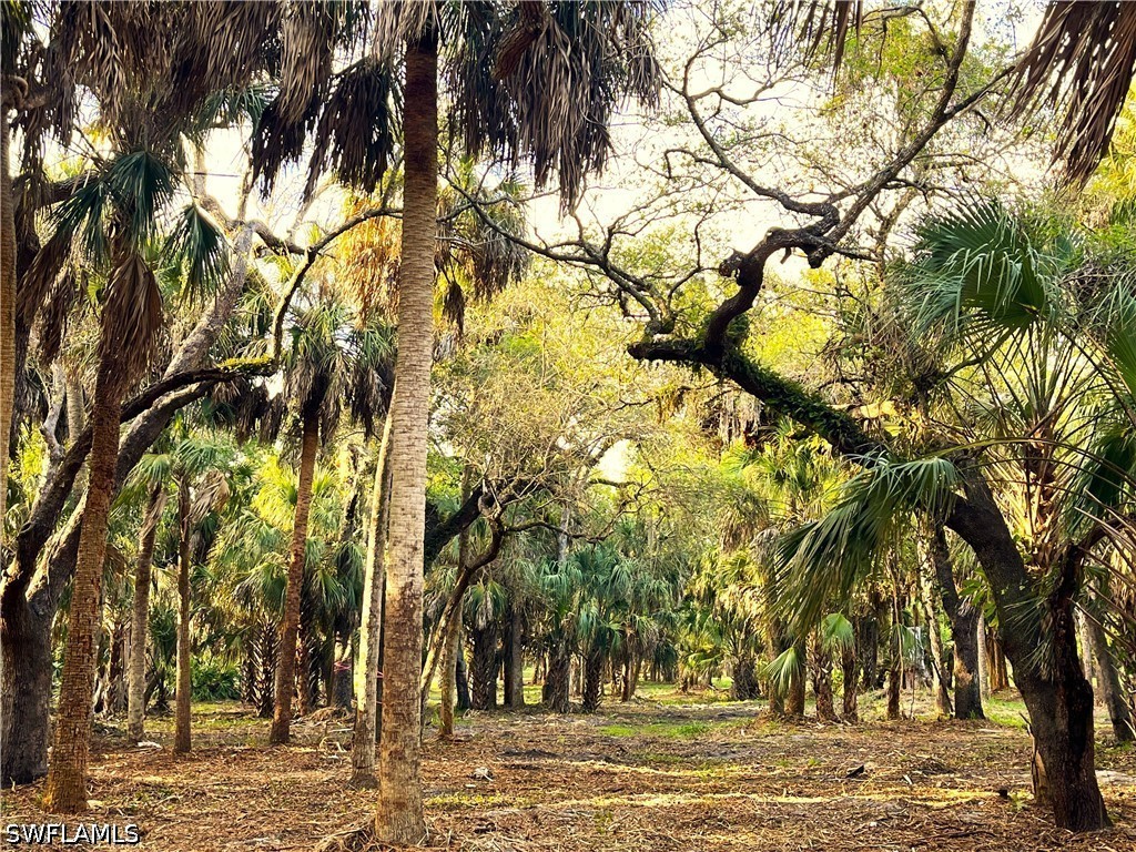 2250 North Road Naples FL 34104 226014241 image6