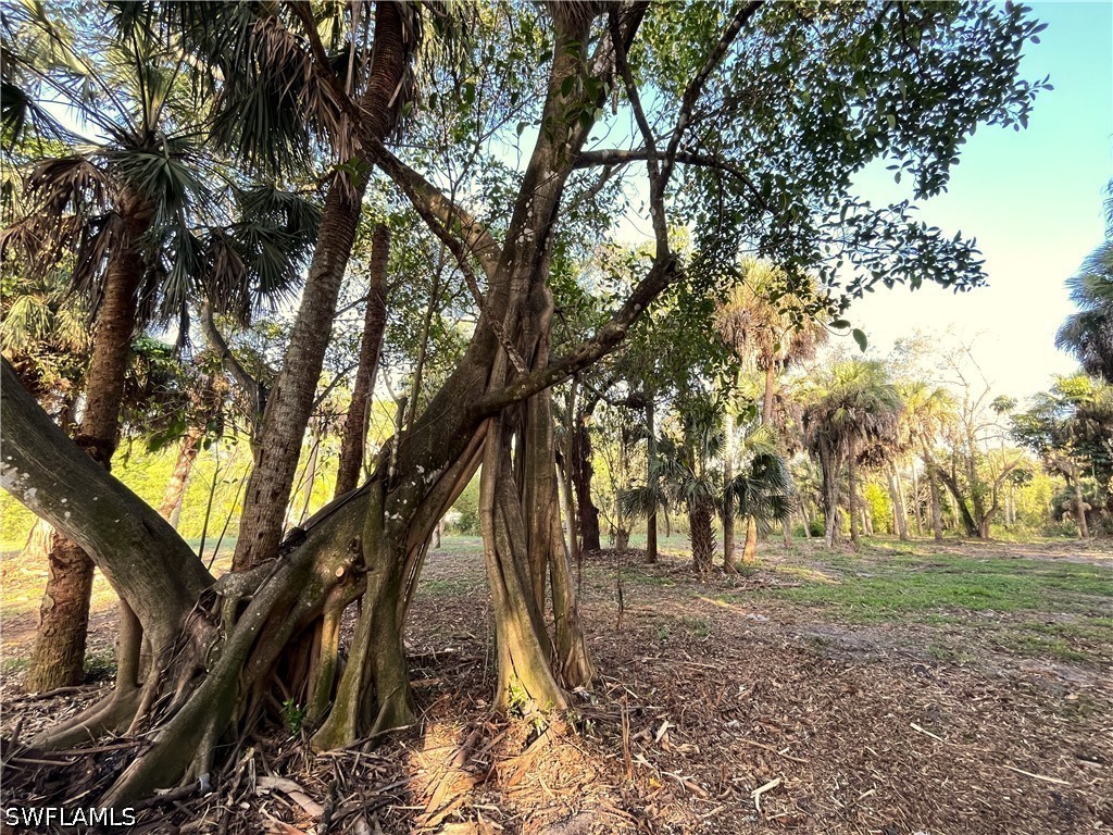 2250 North Road Naples FL 34104 226014241 image7