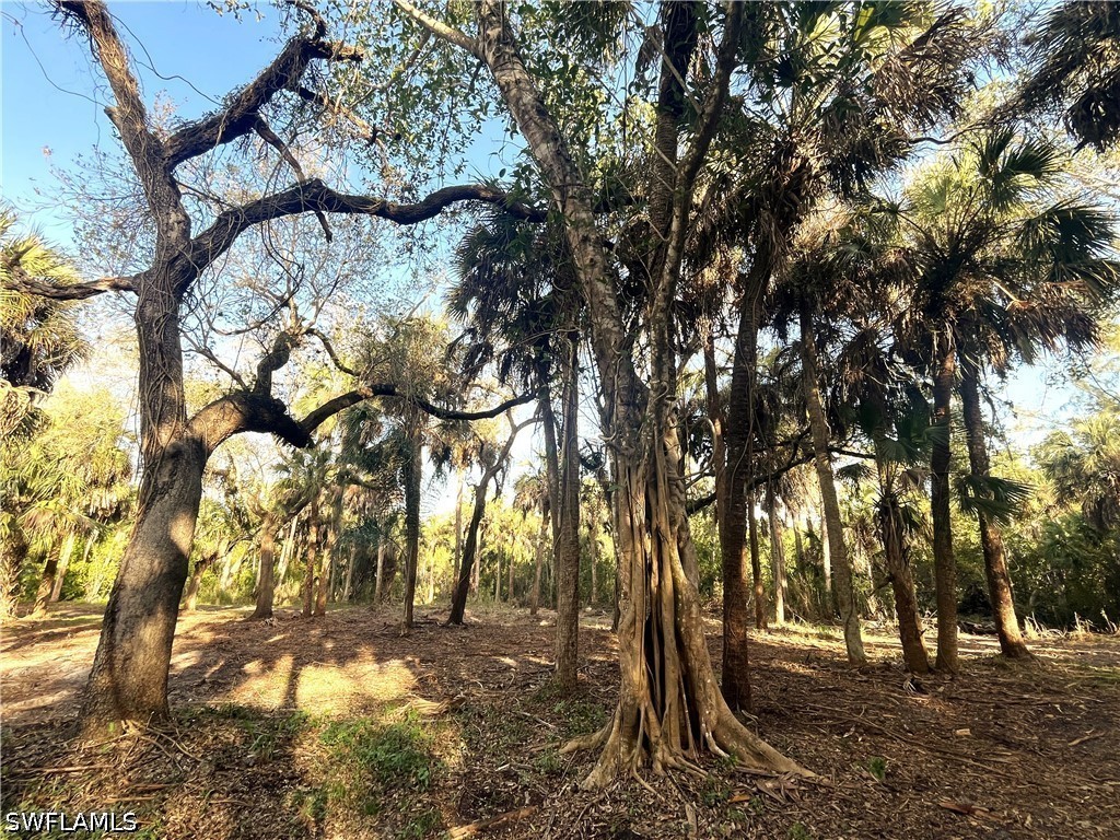 2250 North Road Naples FL 34104 226014241 image9