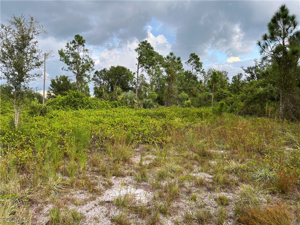 2250 Sulstone Drive Punta Gorda FL 33983 2026007506 image4