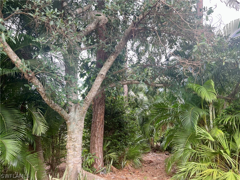 2251 Queens Way E Naples FL 34112 226012501 image4