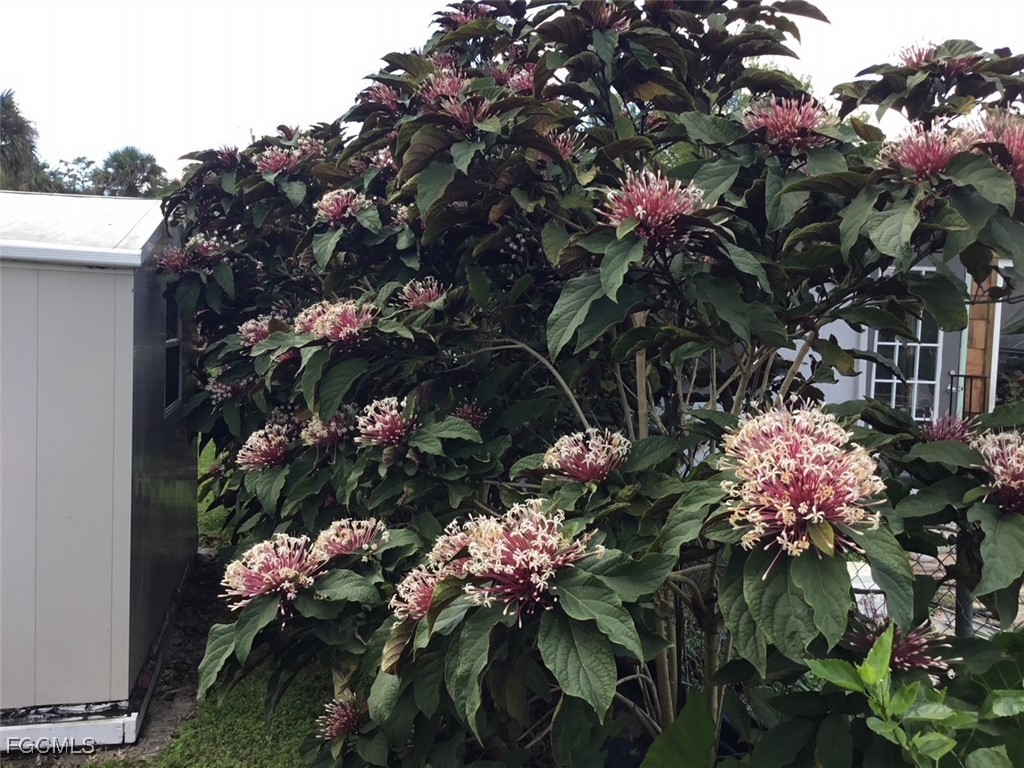 2256 Marina Park Drive Fort Myers FL 33905 2025017786 image7