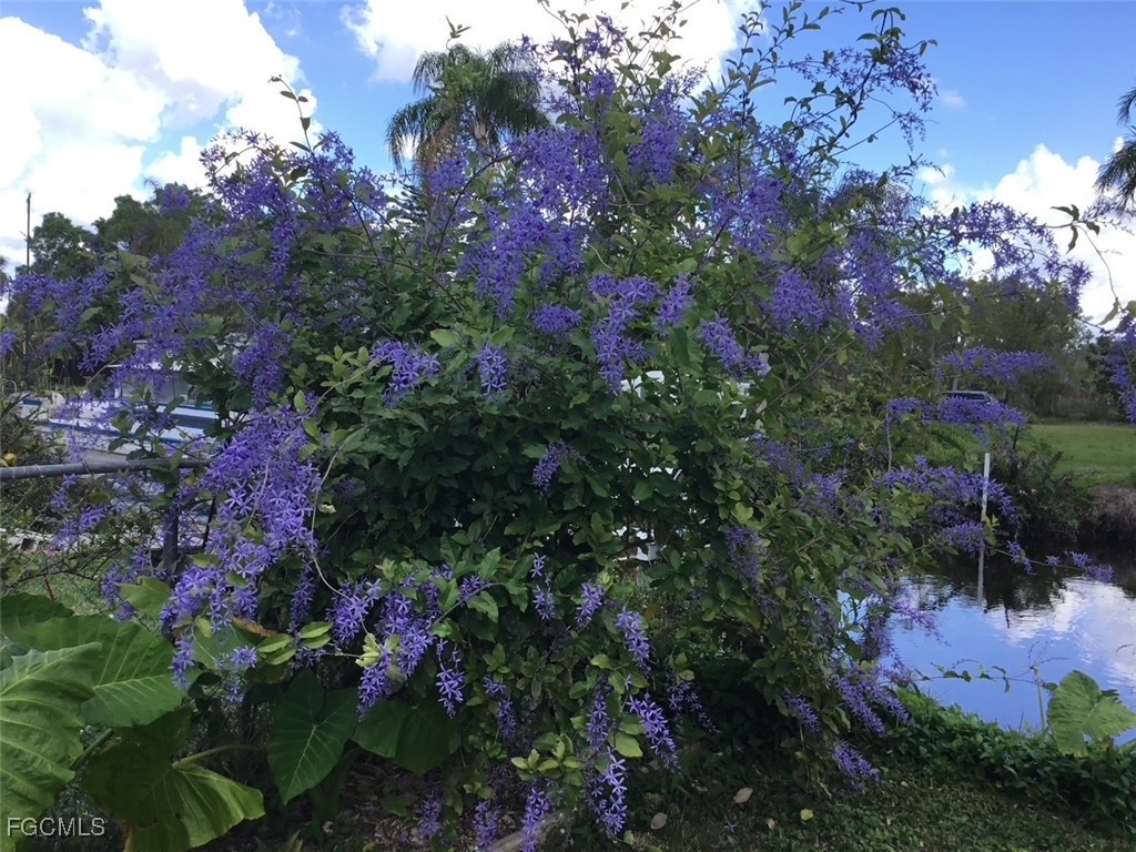 2256 Marina Park Drive Fort Myers FL 33905 2025017786 image8