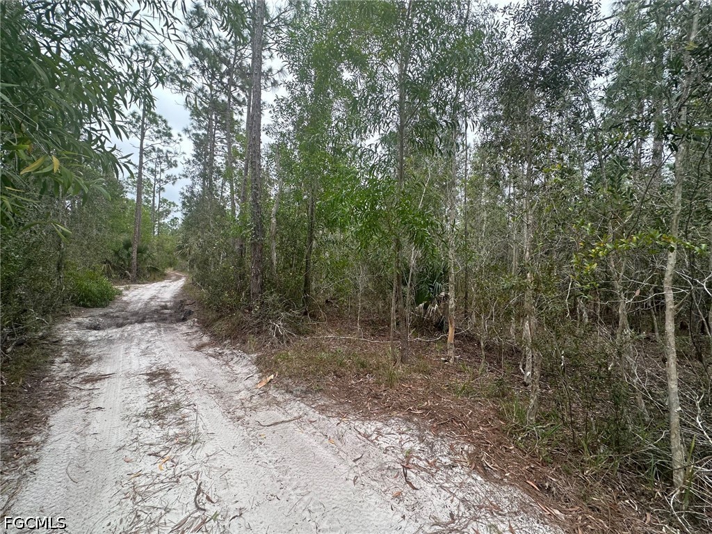 2258 Brooklawn Drive North Fort Myers FL 33917 2026028704 image3