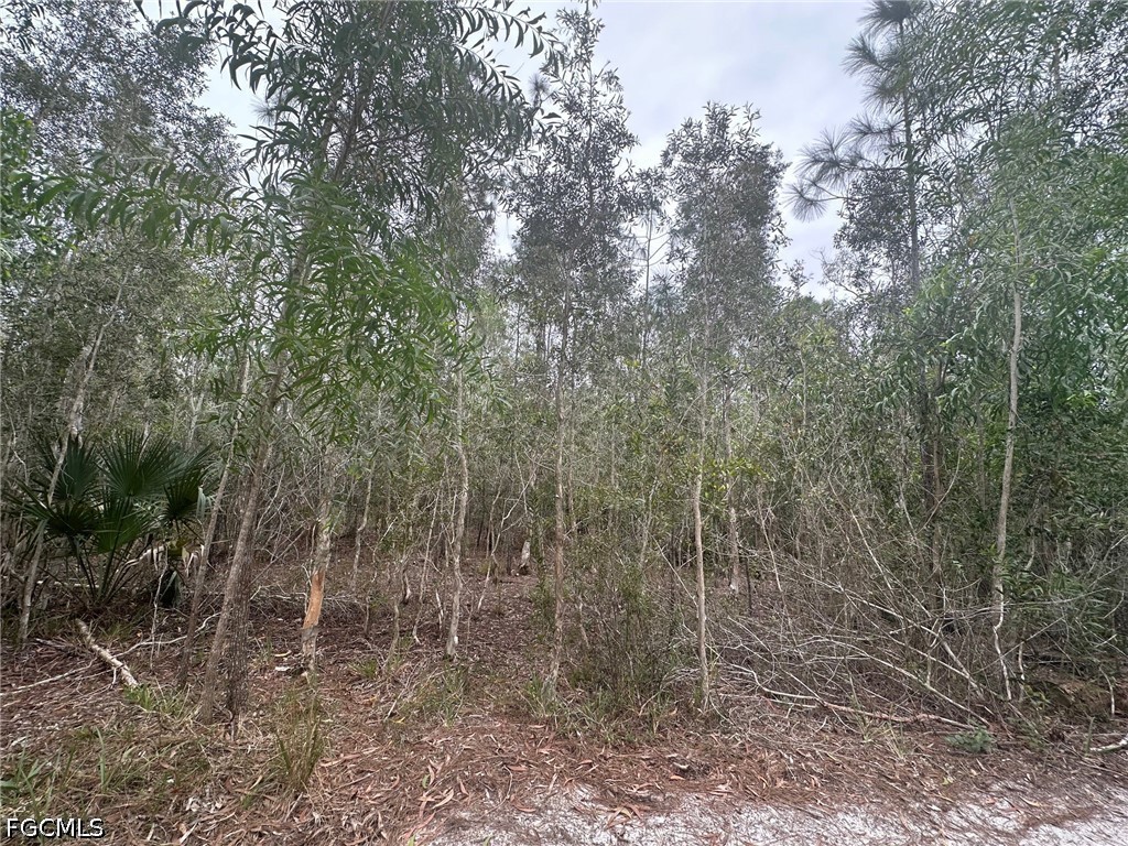 2258 Brooklawn Drive North Fort Myers FL 33917 2026028704 image4
