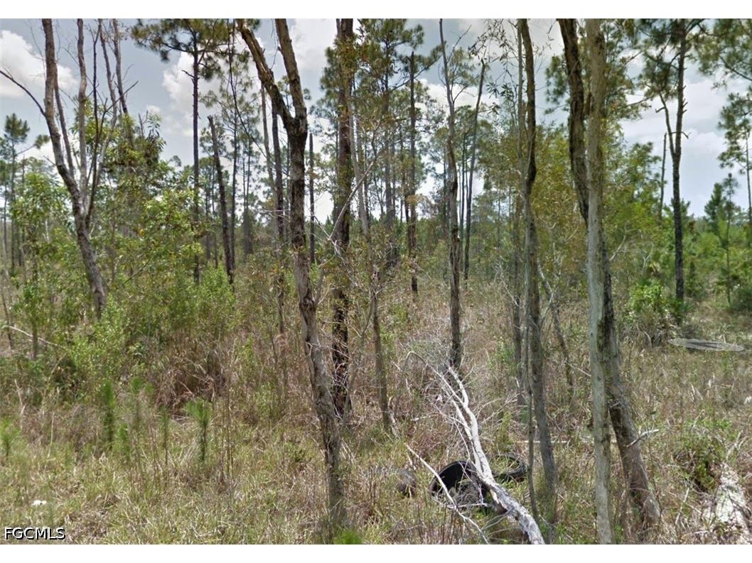 2258 Brooklawn Drive North Fort Myers FL 33917 2026028704 image5