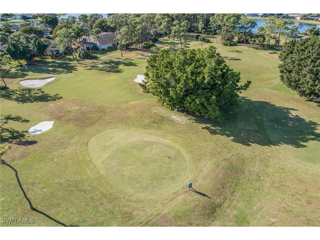 22638 Forest View Drive Estero FL 33928 225065050 image40