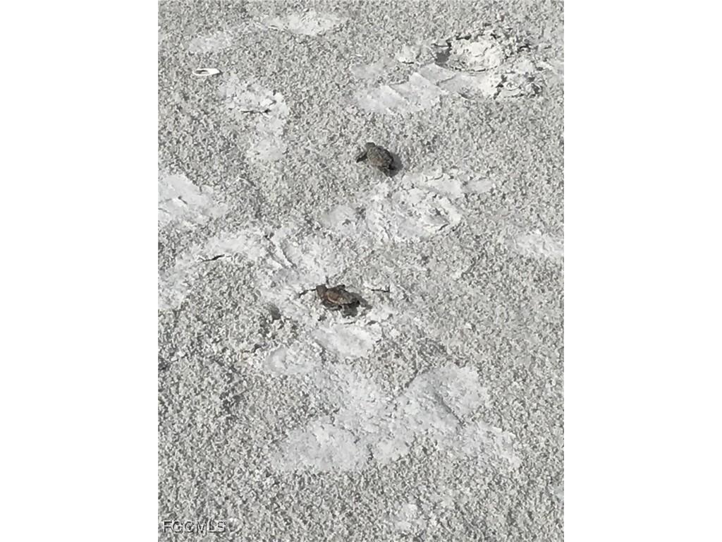 2265 W Gulf Drive #310C Sanibel FL 33957 2025011428 image29