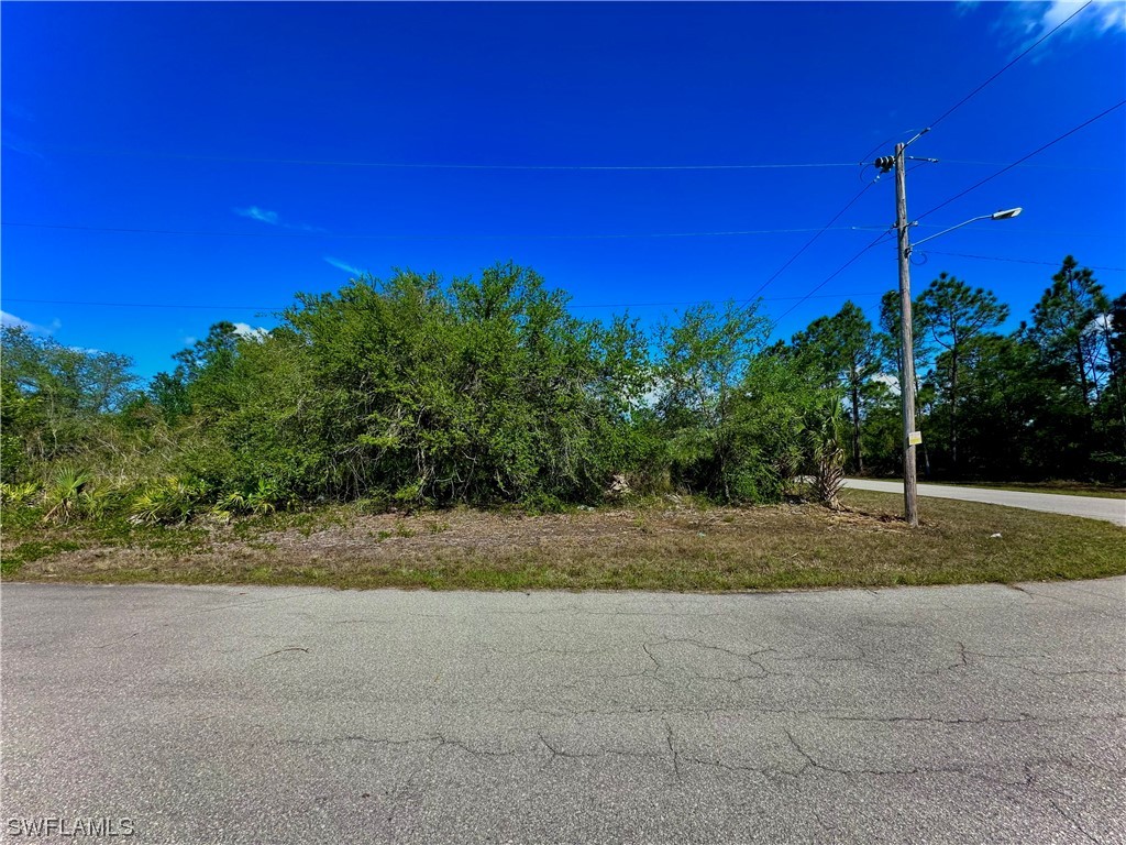 227 Narcissus Avenue S Lehigh Acres FL 33974 223025567 image1