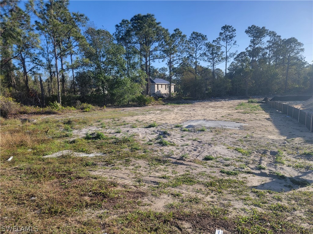 229 Baize Avenue S Lehigh Acres FL 33974 223007854 image1