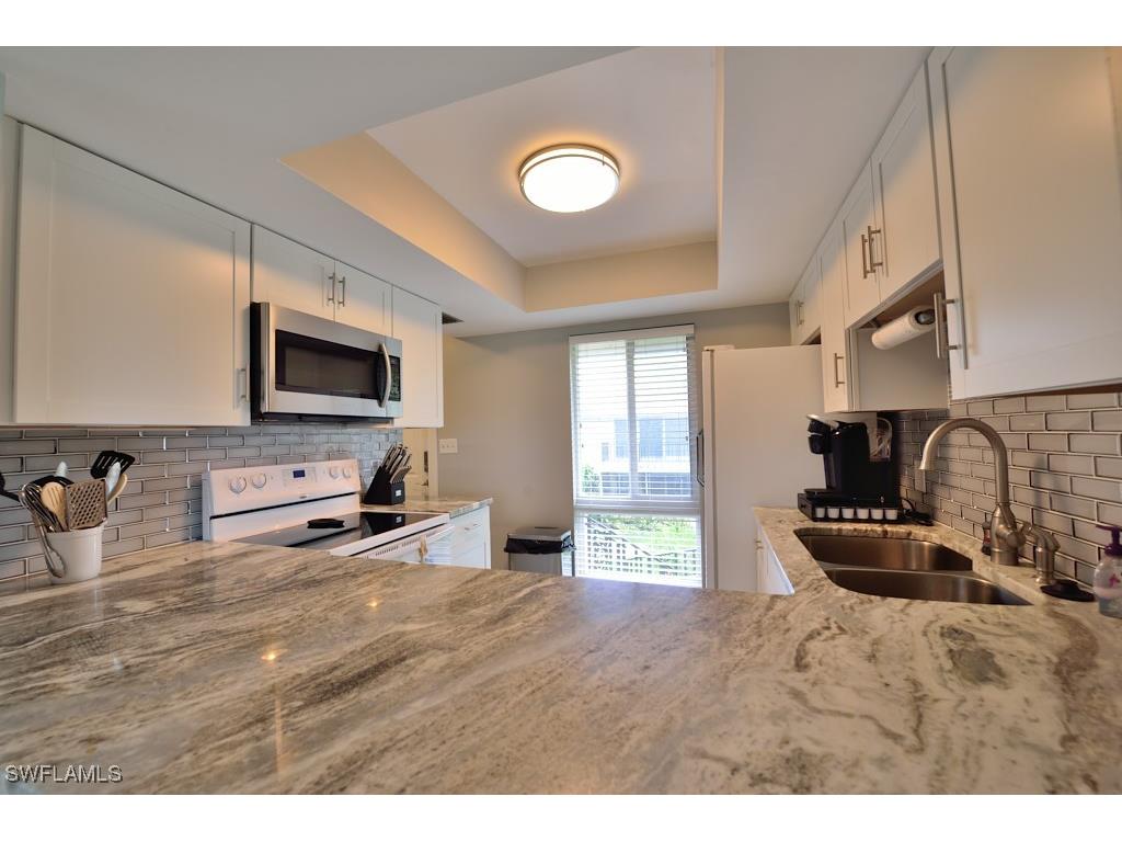 229 Palm Drive #229-2 Naples FL 34112 225065471 image4