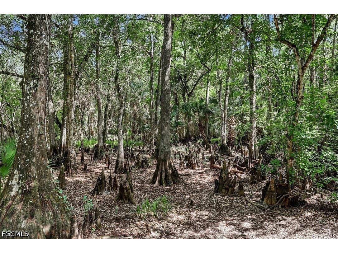 2291 Secretariat Drive Labelle FL 33935 2026025794 image43