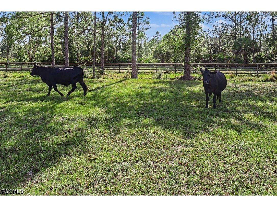 2291 Secretariat Drive Labelle FL 33935 2026025794 image45