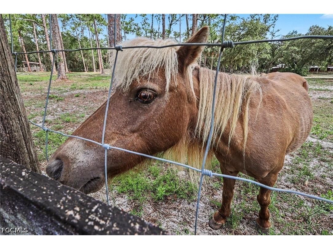 2291 Secretariat Drive Labelle FL 33935 2026025794 image46