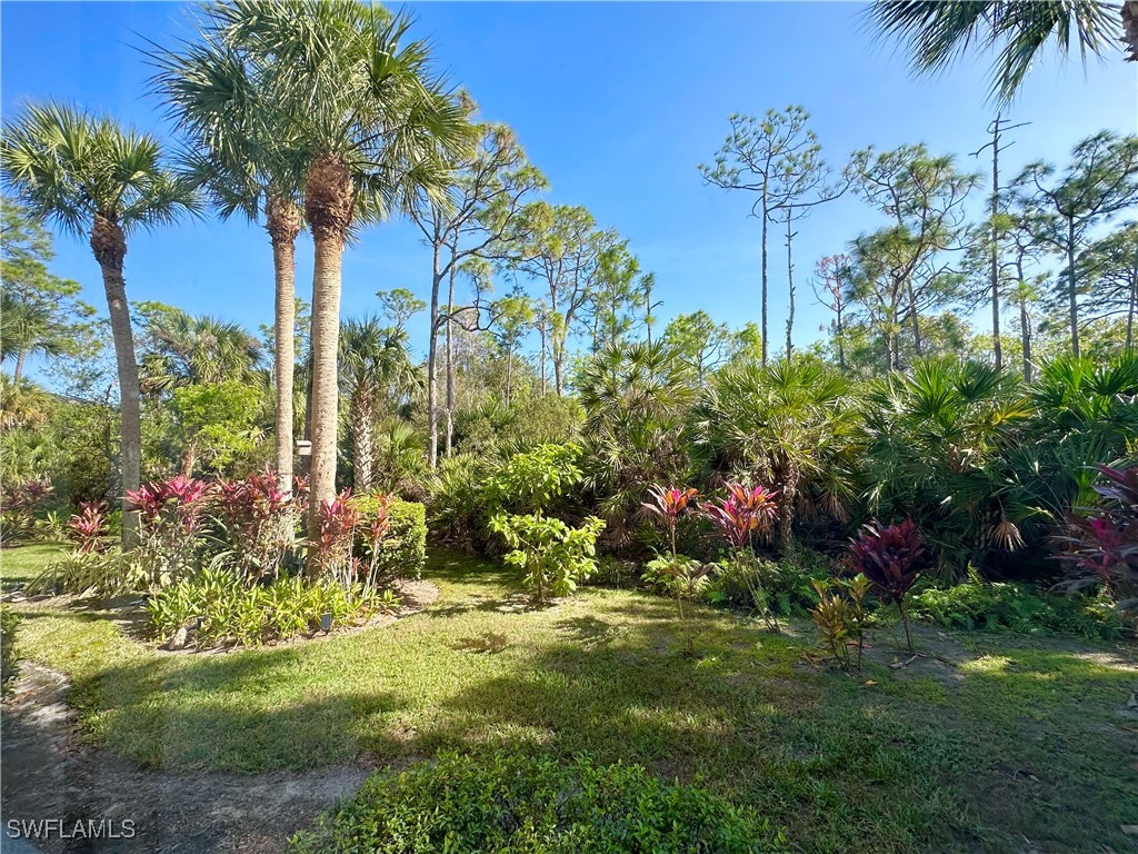 22975 Lone Oak Drive Estero FL 33928 225081617 image17