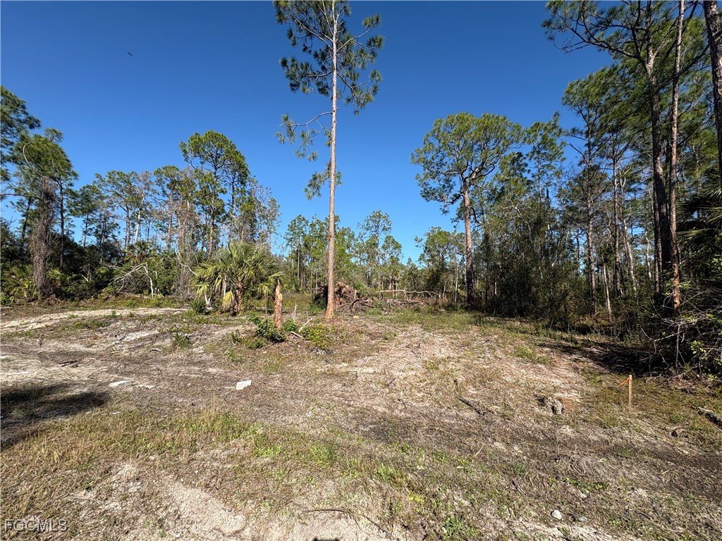 230 Ocean Park Drive Lehigh Acres FL 33972 2026003519 image1
