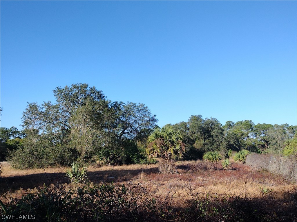 230 S Arboleda Street Clewiston FL 33440 223030655 image1
