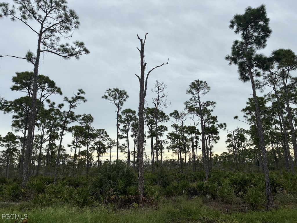 2301 SW 38th Terrace Cape Coral FL 33914 2025008921 image26