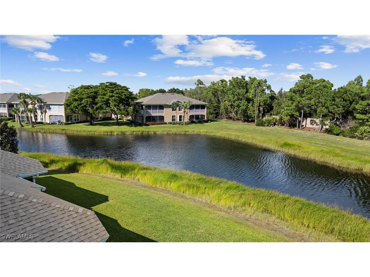 23010 Grassy Pine Drive Estero FL 33928 225072775 image5