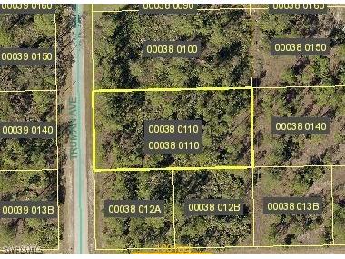 2302 Truman Avenue Alva FL 33920 221042336 image1