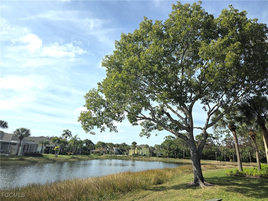 23034 Lone Oak Drive Estero FL 33928 2026003620 image20