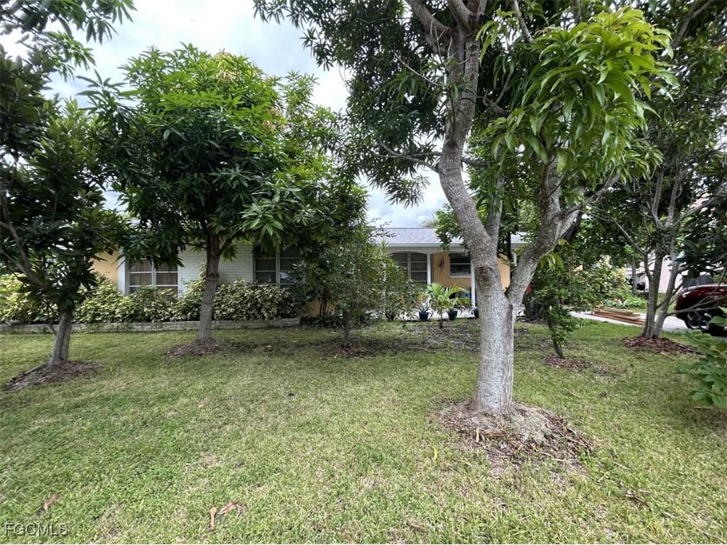 2305 SE 16th Street Cape Coral FL 33990 2025013813 image2